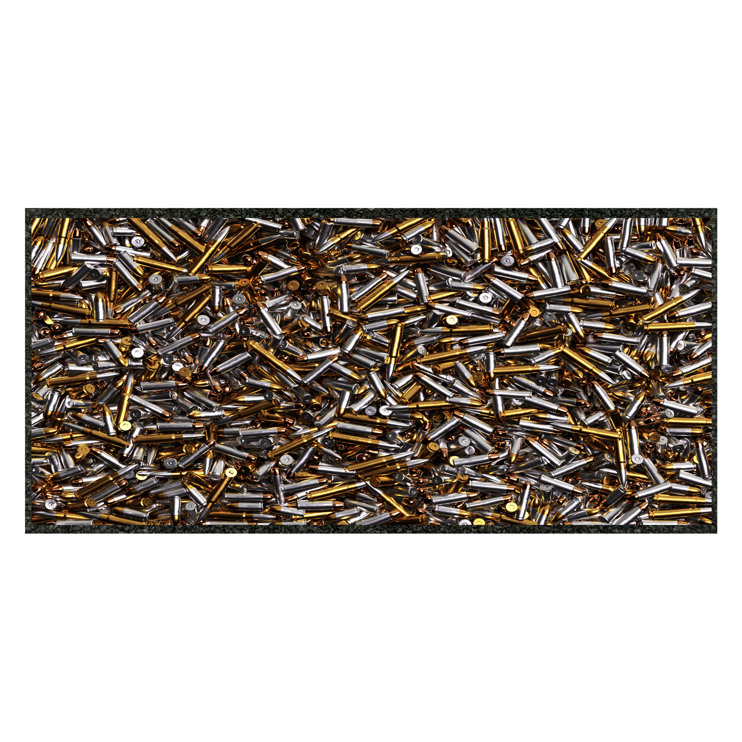 SEE SHELLS 11" x 24"