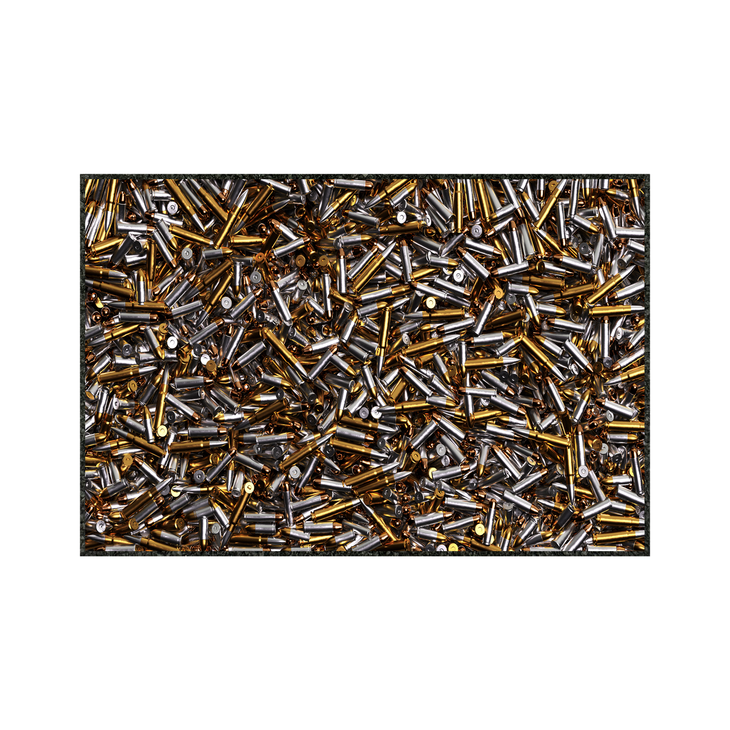SEE SHELLS 12" x 18"