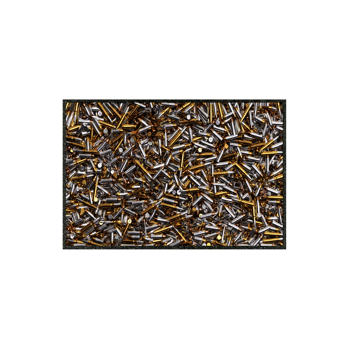 SEE SHELLS  8.25" x 11"