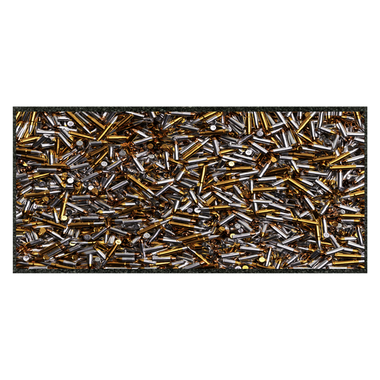 SEE SHELLS 11" x 24"
