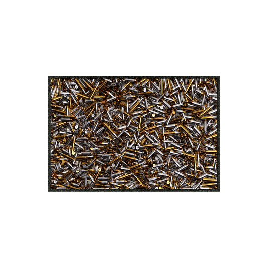 SEE SHELLS  8.25" x 11"